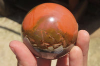 Polished Polychrome Jasper Spheres x 4 From Madagascar