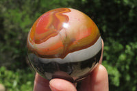 Polished Polychrome Jasper Spheres x 4 From Madagascar