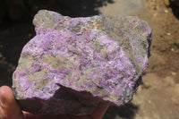 Natural Stichtite Specimens x 2 From Barberton, South Africa