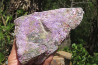 Natural Stichtite Specimens x 2 From Barberton, South Africa