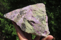 Natural Stichtite Specimens x 2 From Barberton, South Africa