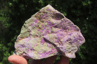 Natural Stichtite Specimens x 2 From Barberton, South Africa