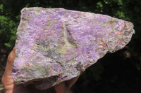 Natural Stichtite Specimens x 2 From Barberton, South Africa