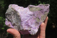 Natural Stichtite Specimens x 2 From Barberton, South Africa