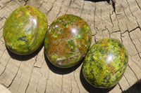 Polished Green Opal Palm Stones x 12 From Madagascar