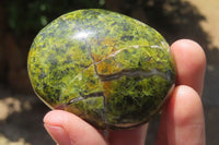 Polished Green Opal Palm Stones x 12 From Madagascar