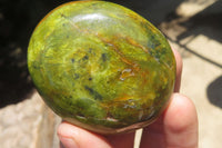 Polished Green Opal Palm Stones x 12 From Madagascar