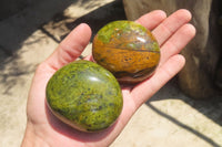 Polished Green Opal Palm Stones x 12 From Madagascar