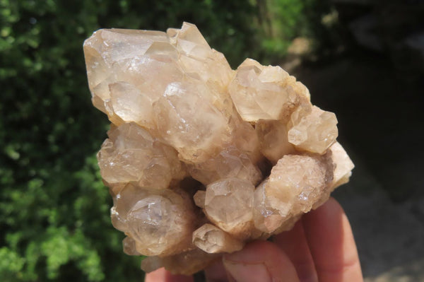 Natural Cascading Smokey Quartz Clusters x 6 From Luena, Congo