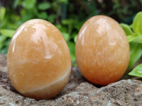 Polished Honey Aragonite Gemstone Eggs - Sold Per Item - From Namibia