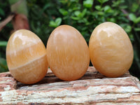 Polished Honey Aragonite Gemstone Eggs - Sold Per Item - From Namibia