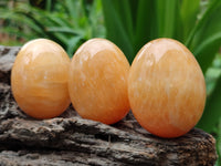 Polished Honey Aragonite Gemstone Eggs - Sold Per Item - From Namibia