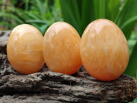 Polished Honey Aragonite Gemstone Eggs - Sold Per Item - From Namibia