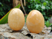 Polished Honey Aragonite Gemstone Eggs - Sold Per Item - From Namibia