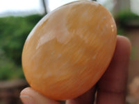 Polished Honey Aragonite Gemstone Eggs - Sold Per Item - From Namibia