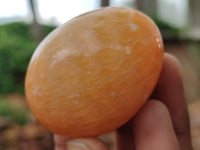 Polished Honey Aragonite Gemstone Eggs - Sold Per Item - From Namibia