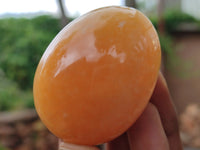 Polished Honey Aragonite Gemstone Eggs - Sold Per Item - From Namibia