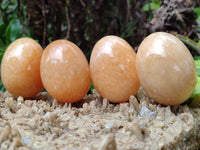 Polished Honey Aragonite Gemstone Eggs - Sold Per Item - From Namibia