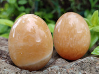 Polished Honey Aragonite Gemstone Eggs - Sold Per Item - From Namibia