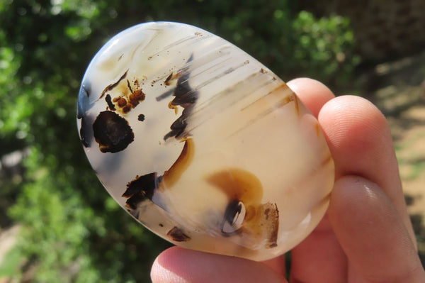 Polished Dendritic Agate Palm Stones x 24 From Madagascar