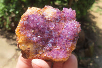 Natural Amethystos Amethyst Specimens x 12 From Kwaggafontein, South Africa