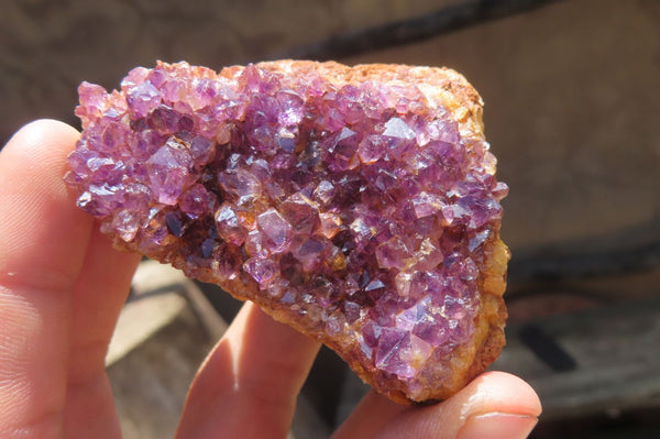 Natural Amethystos Amethyst Specimens x 12 From Kwaggafontein, South Africa