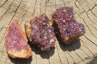 Natural Amethystos Amethyst Specimens x 12 From Kwaggafontein, South Africa