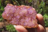 Natural Amethystos Amethyst Specimens x 12 From Kwaggafontein, South Africa