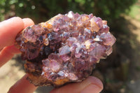 Natural Amethystos Amethyst Specimens x 12 From Kwaggafontein, South Africa