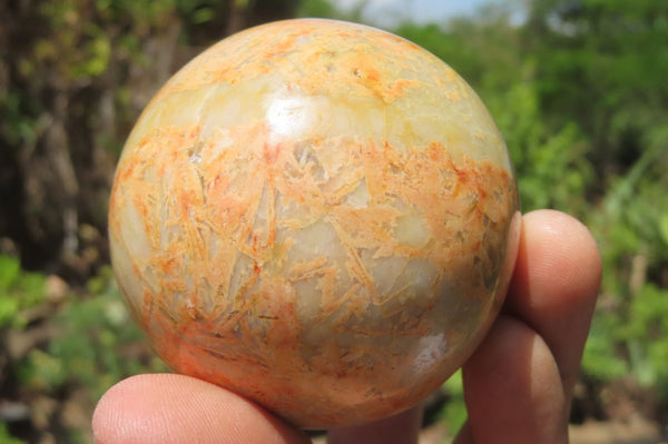 Polished Runestone Spheres x 6 From Kings Ranch, Zimbabwe