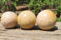 Polished Runestone Spheres x 6 From Kings Ranch, Zimbabwe