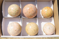 Polished Runestone Spheres x 6 From Kings Ranch, Zimbabwe