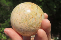 Polished Runestone Spheres x 6 From Kings Ranch, Zimbabwe