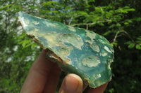 Polished On One Side Emerald Mtorolite Plates x 6 From Mutorashanga, Zimbabwe