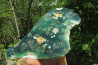 Polished On One Side Emerald Mtorolite Plates x 6 From Mutorashanga, Zimbabwe