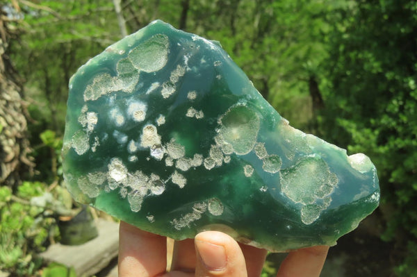 Polished On One Side Emerald Mtorolite Plates x 6 From Mutorashanga, Zimbabwe