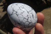 Polished Howlite Gemstone Eggs x 7 From Zimbabwe