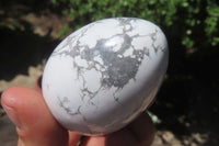 Polished Howlite Gemstone Eggs x 7 From Zimbabwe