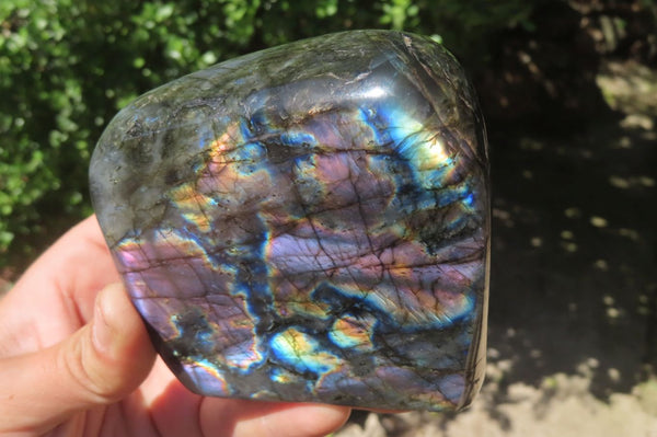 Polished Labradorite Standing Free Forms x 3 From Tulear, Madagascar