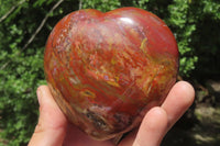 Polished Red Podocarpus Petrified Wood Hearts x 2 From Madagascar