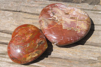 Polished Red Podocarpus Petrified Wood Hearts x 2 From Madagascar