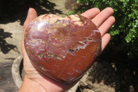 Polished Red Podocarpus Petrified Wood Hearts x 2 From Madagascar