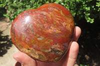 Polished Red Podocarpus Petrified Wood Hearts x 2 From Madagascar