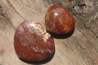 Polished Red Podocarpus Petrified Wood Hearts x 2 From Madagascar