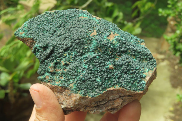 Natural Botryoidal Malachite Specimens x 3 From Tenke Fungurume, Congo