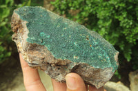 Natural Botryoidal Malachite Specimens x 3 From Tenke Fungurume, Congo