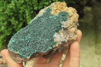 Natural Botryoidal Malachite Specimens x 3 From Tenke Fungurume, Congo