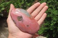 Polished On One Side Polychrome Jasper Nodules x 6 From Mahajanga, Madagascar