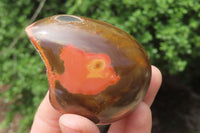 Polished On One Side Polychrome Jasper Nodules x 6 From Mahajanga, Madagascar