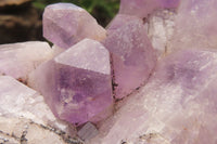 Natural Jacaranda Amethyst Quartz Cluster x 1 from Mumbwa, Zambia